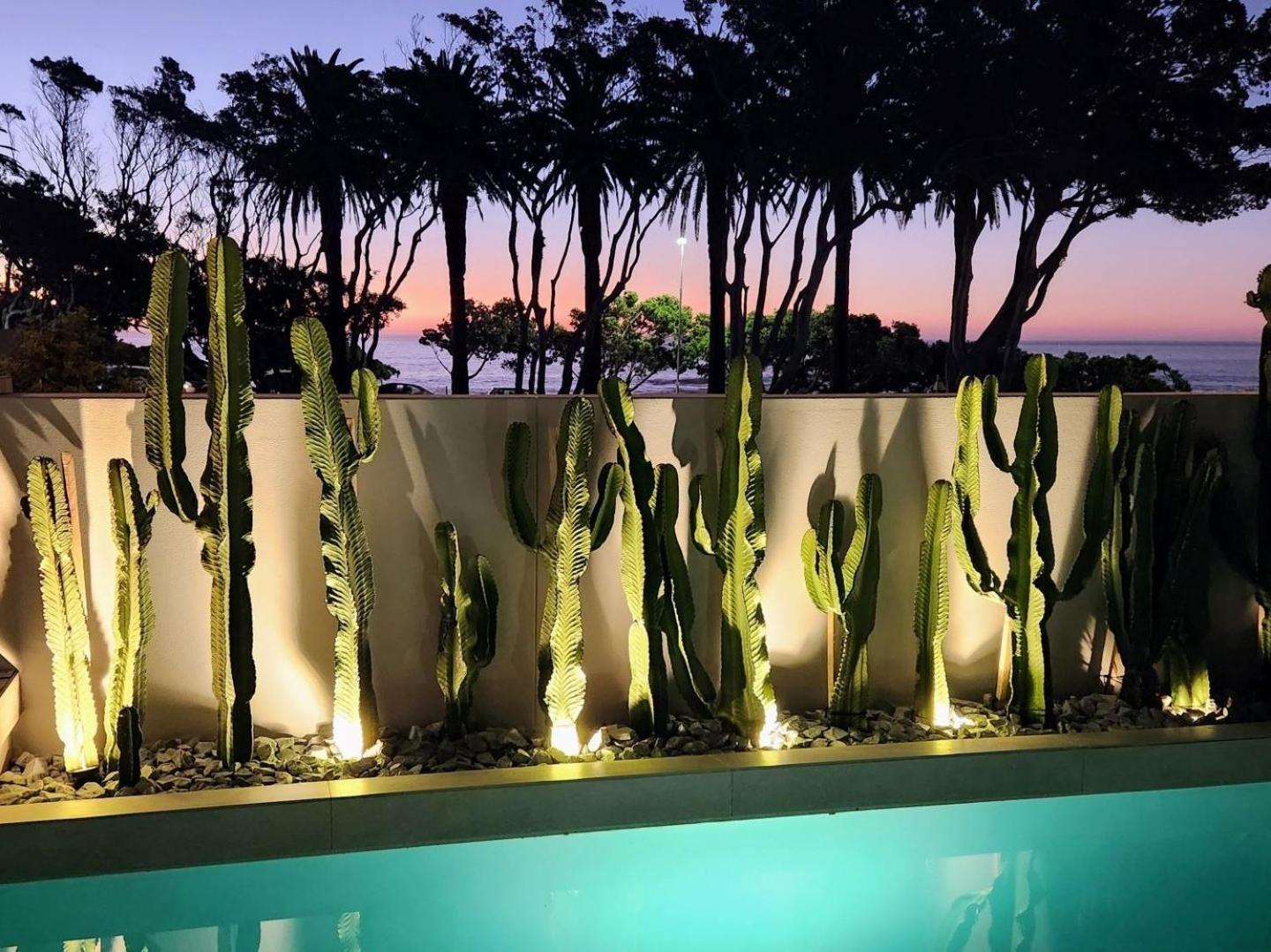 South Beach Camps Bay Boutique Hotel Ciudad del Cabo Exterior foto Landscape lighting